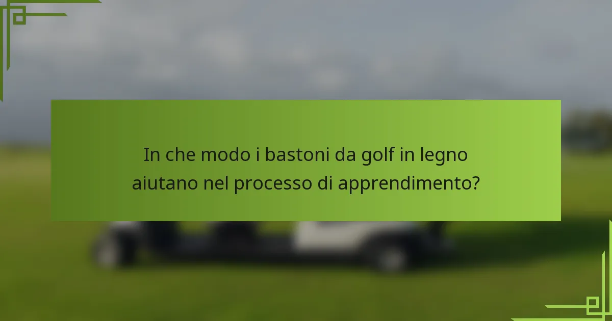 In che modo i bastoni da golf in legno aiutano nel processo di apprendimento?