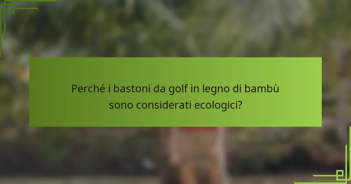 Perché i bastoni da golf in legno di bambù sono considerati ecologici?