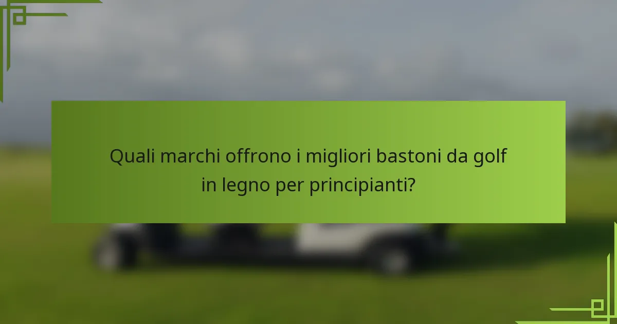 Quali marchi offrono i migliori bastoni da golf in legno per principianti?