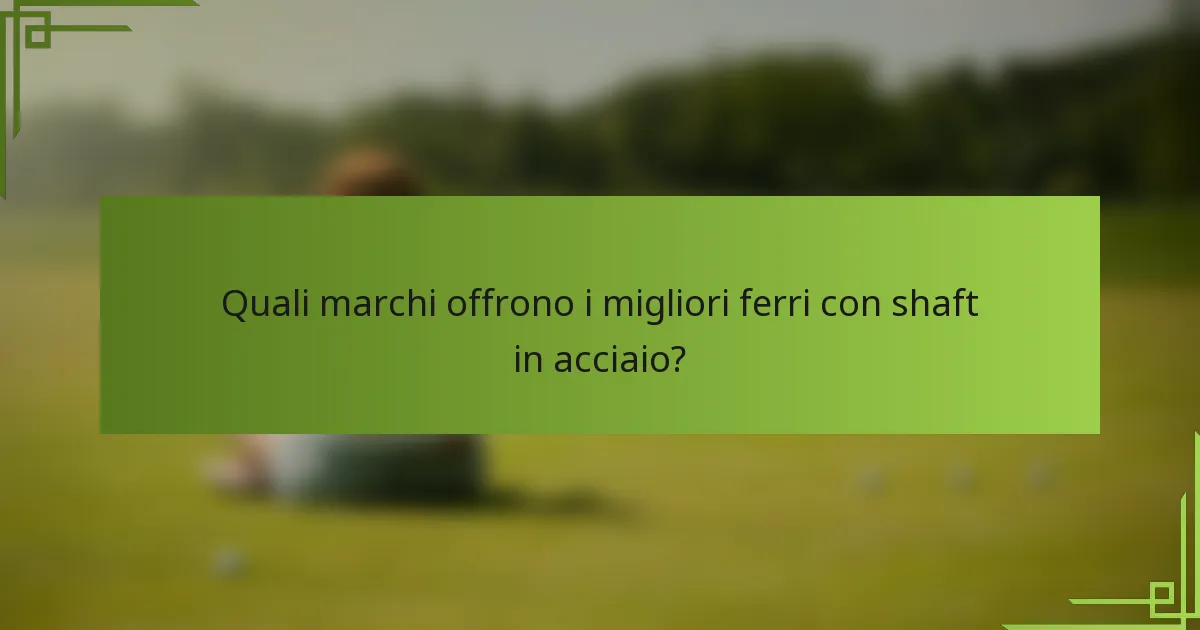 Quali marchi offrono i migliori ferri con shaft in acciaio?