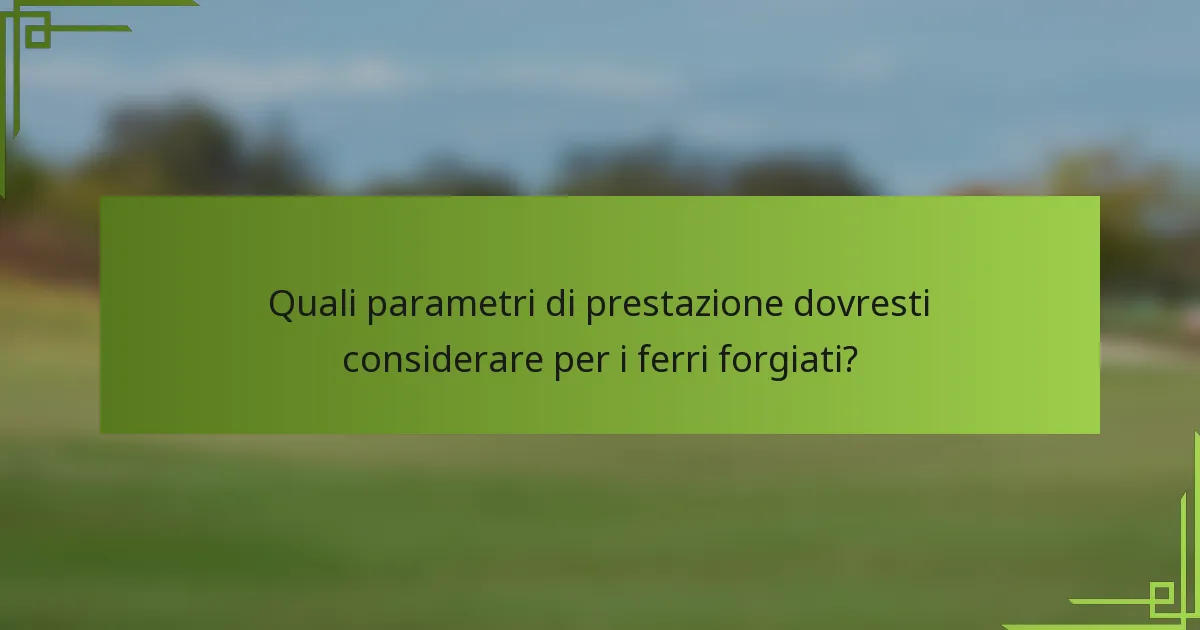 Quali parametri di prestazione dovresti considerare per i ferri forgiati?