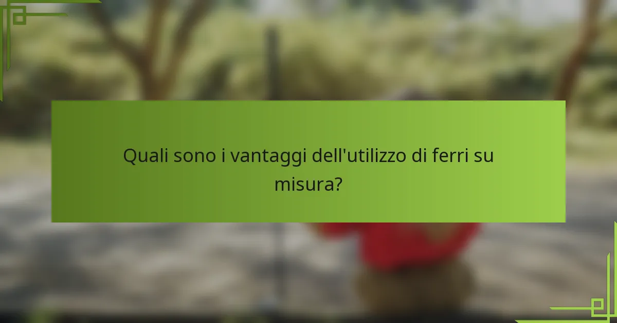 Quali sono i vantaggi dell'utilizzo di ferri su misura?